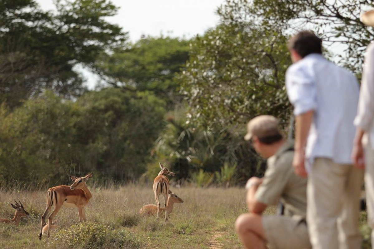 wildlife encounters