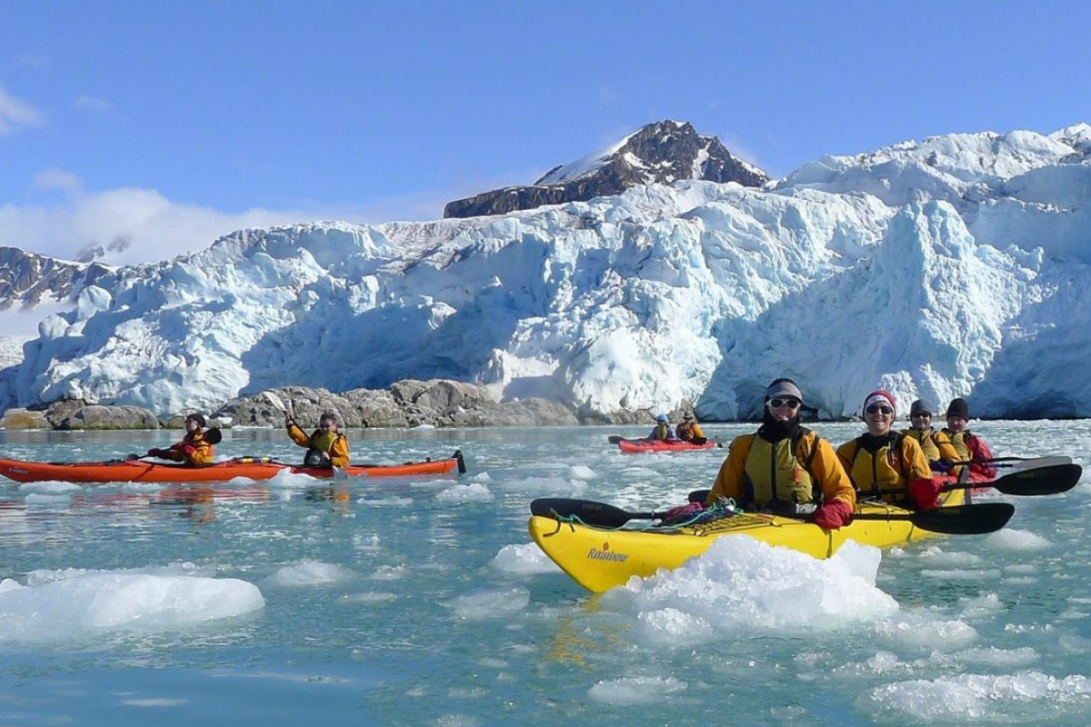 arctic wildlife encounter